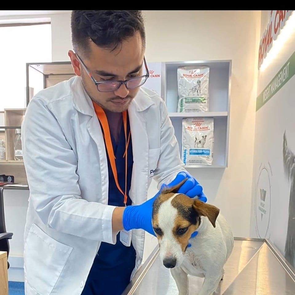 Cliente de Samady Ysaacura.